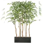 Creativ Green künstliche Pflanze Ficus Benjamina Raumteiler 160cm