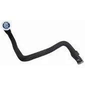 VAICO Kühlerschlauch Wasserschlauch für FORD Focus II Schrägheck (DA, HCP, DP) V25-2339