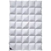 Billerbeck Catalina Daunendecke Mono - 200x200cm