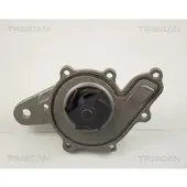 TRISCAN Wasserpumpe [Hersteller-Nr. 860010014] für Smart