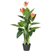 Creativ Green Künstliche Pflanze Guzmania 105cm im Topf