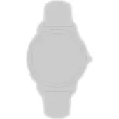 Certina Titan Verlangerungsglied Titan C613017306 - silber