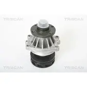 TRISCAN Wasserpumpe 8600 11004