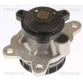 TRISCAN Wasserpumpe 8600 10092