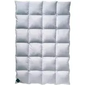 Billerbeck »312 Catalina« Daunendecken Kassette 4 / 200x200 cm / 1404 g