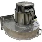 WOLF-Garten Wolf Gebläse-Gas G3G250-MW50 213861799 für MGK-2 1000