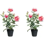 Creativ Green Künstliche Pflanze Rosenbusch im Topf in pink, 2er Set