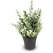Fleur Ami Künstliche Eucalyptus Pflanze, Höhe 60 cm