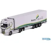 Cavallino Wulms Egg Group Scania S Highline Kühlauflieger 20-1203