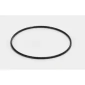 Elmag Schwimmerkammerdichtung (O-Ring) - 9503725