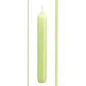 Kopschitz Kerzen Kerzen Leuchterkerzen Kiwi, 190 x 21 mm, 48 Stück