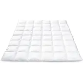 BETTWARENSHOP Gänsedaunen Bettdecke mit Eiderdaune medium, Füllung: 70% Gänsedaune, 30% Eiderdaune 240x220 cm - weiß
