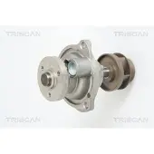 TRISCAN Wasserpumpe 8600 16021