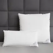 BETTWARENSHOP Federkissen Premium 70% Federn 30% Daunen 50x50 cm
