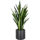 Creativ Green künstliche Pflanze Sansevieria zeylanica im anthrazitfarbenen Kunststofftopf,105cm