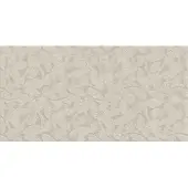 Argenta Kenzo Wandfliese ivory 60x120 cm matt KENZO612IVSE