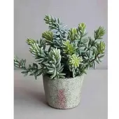 H Andreas Belles Fleurs Künstliche Sukkulente im Dekotopf, 19 cm, grün