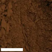 Kreidezeit Pigment Umbra rotbraun, Italien - 175 g Becher