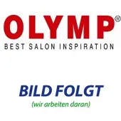 Olymp Kopie von Hairmaster Dryer x2i #1