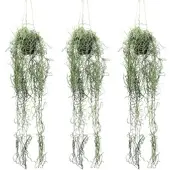 Creativ Green künstliche Pflanze Tillandsia Hänger, ca 80cm, 3er Set