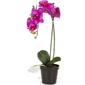 Fleur Ami Orchidee Kunstpflanze, Höhe 55 cm, pink