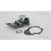 TRISCAN Wasserpumpe 8600 25018