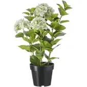 Möbel Kraft Hortensie getopft , lila/violett , Kunststoff , Maße (cm): H: 85