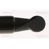 TRISCAN Gasfeder, Koffer-/Laderaum [Hersteller-Nr. 871025287] für Renault