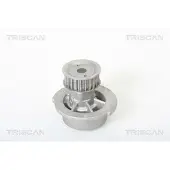 TRISCAN Wasserpumpe 8600 24003