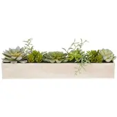 Creativ Green künstliche Pflanze Sukkulentenarrangement im Holzkasten, 10 cm, grün