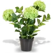 Fleur Ami Hortensie (Hydrangea) Kunstpflanze mit 3 Blüten 64 cm Grün