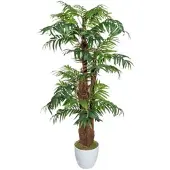 Creativ Green künstliche Pflanze Arecapalme, ca 150cm, mit Cocos und mit Moos