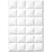 Sanders Kauffmann Sanders Atelier Premium Daunendecke extra-warm - 155x220cm