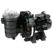 Pentair Sta-Rite Schwimmbadpumpe P-STR-153E3 1,1 kW 400 V