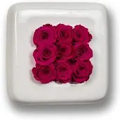 Flowerbox Infinity-Bloom Chest - weiß/berry - 16x16 cm