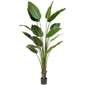 Fleur Ami Strelitzie (Baumstrelitzie) Kunstpflanze 200 cm
