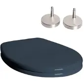 Jet-Line WC-Deckel in Anthrazit aus Thermoplast mit Absenkautomatik