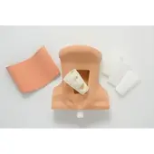 Erler Zimmer Koniotomie Trainer