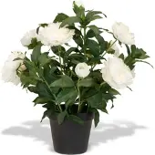 Fleur Ami Pfingstrosen - Paeonia Kunstpflanze weiß