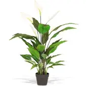 Fleur Ami Spathiphyllum (Einblatt) Kunstpflanze mit 5 Blüten UV-Stabil 120 cm
