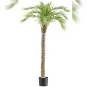 Creativ Green künstliche Pflanze Macauba-Palme, ca 175cm