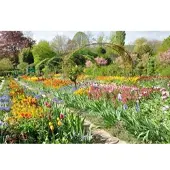 Papermoon Fototapete "Monets Garten", bunt, B:3,5m L:2,6m, Vlies, Tapeten, Fototapete