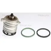 TRISCAN Wasserpumpe 8600 29042