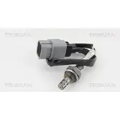 TRISCAN Lambdasonde 8845 14113