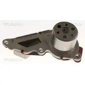 TRISCAN Wasserpumpe 8600 10091