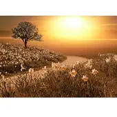 Papermoon Fototapete "Magische Landschaft", bunt, B:4,5m L:2,8m, Vlies, Tapeten, Fototapete