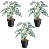 Creativ Green Künstliche Pflanze Syngonium 38cm im Topf