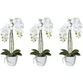 Creativ Green künstliche Pflanze Miniphalaenopsis, ca 43cm, "Real Touch", 3er Set
