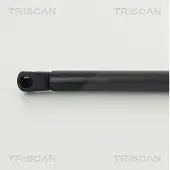 TRISCAN Gasfeder, Koffer-/Laderaum 8710 292041