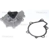 TRISCAN Wasserpumpe 8600 43024